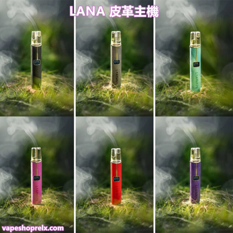 LANA皮革主機